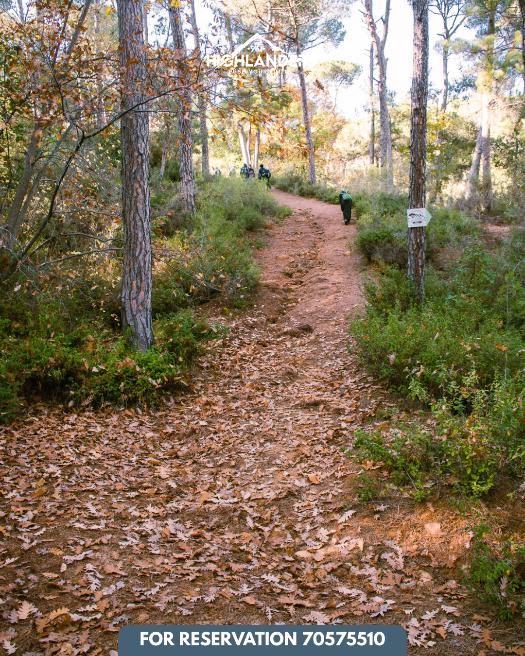 Bkassine Pine Forest Afternoon Hike & Sunset Iftar