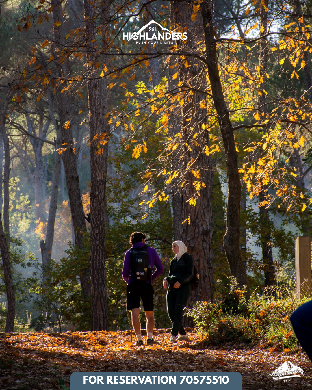 Bkassine Pine Forest Afternoon Hike & Sunset Iftar