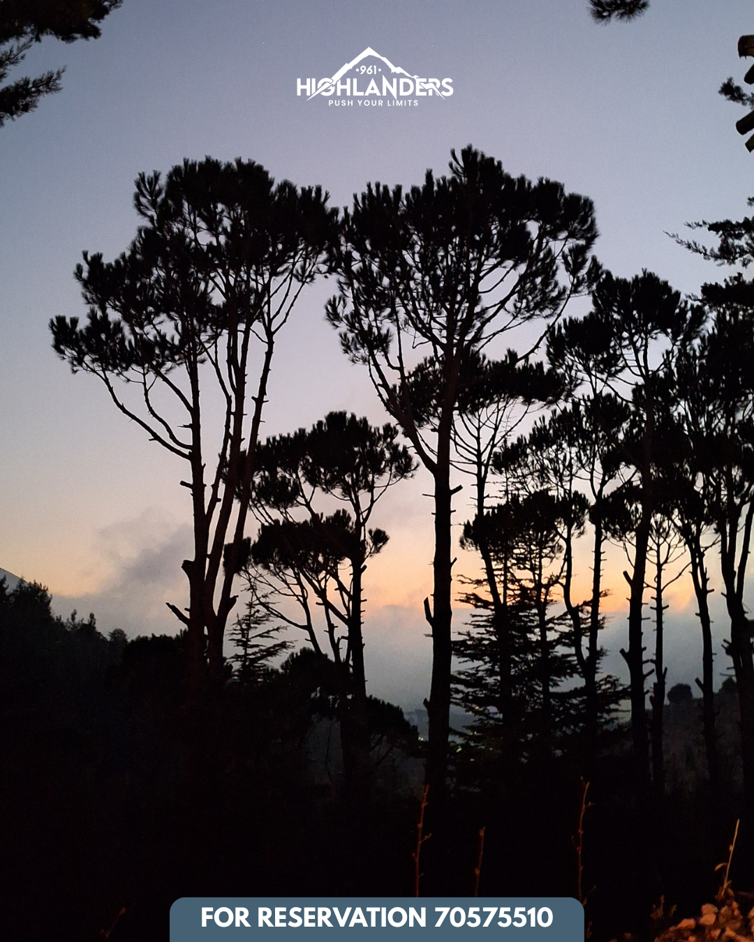 Bkassine Pine Forest Afternoon Hike & Sunset Iftar
