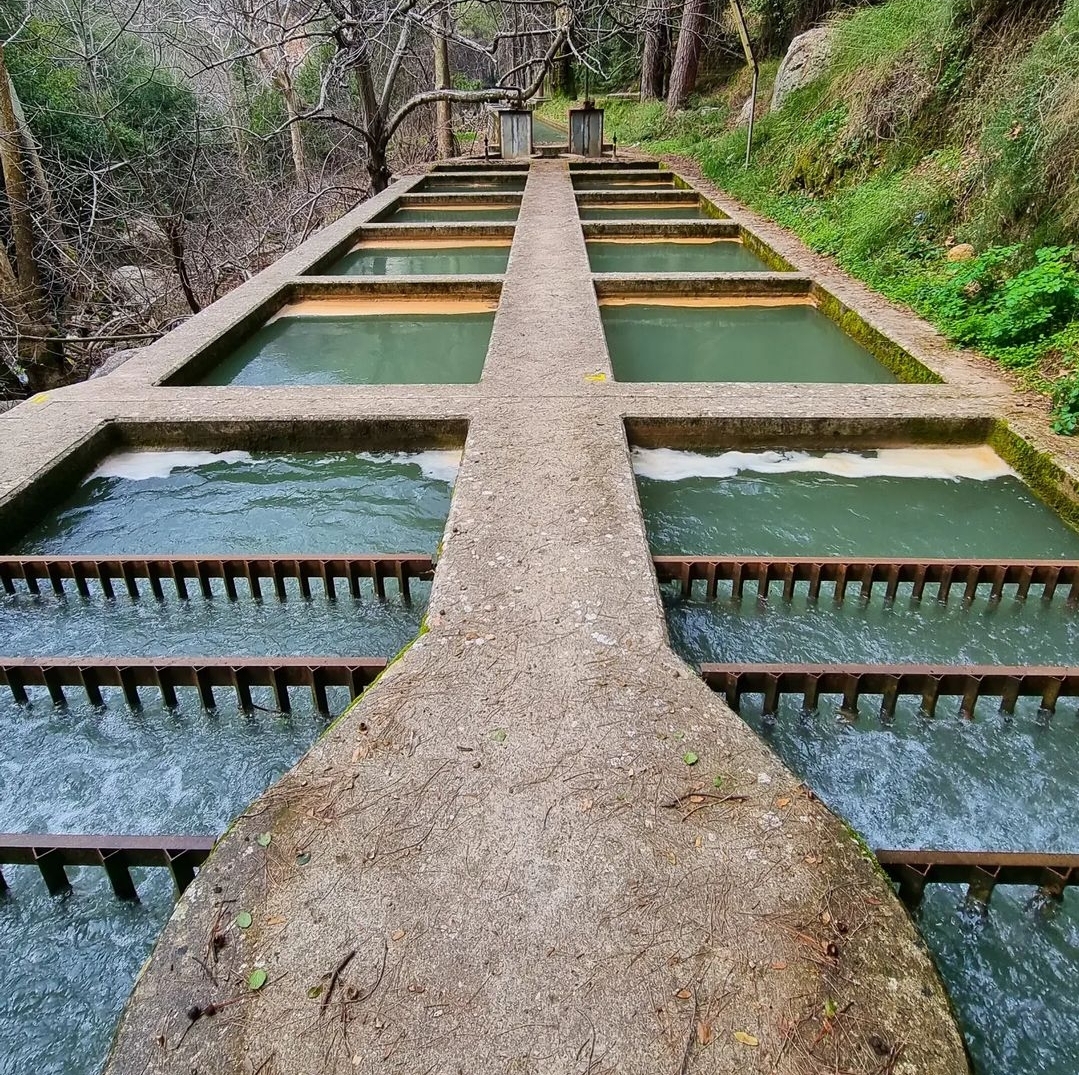 Kfarhelda Waterfall - Walk For Hope