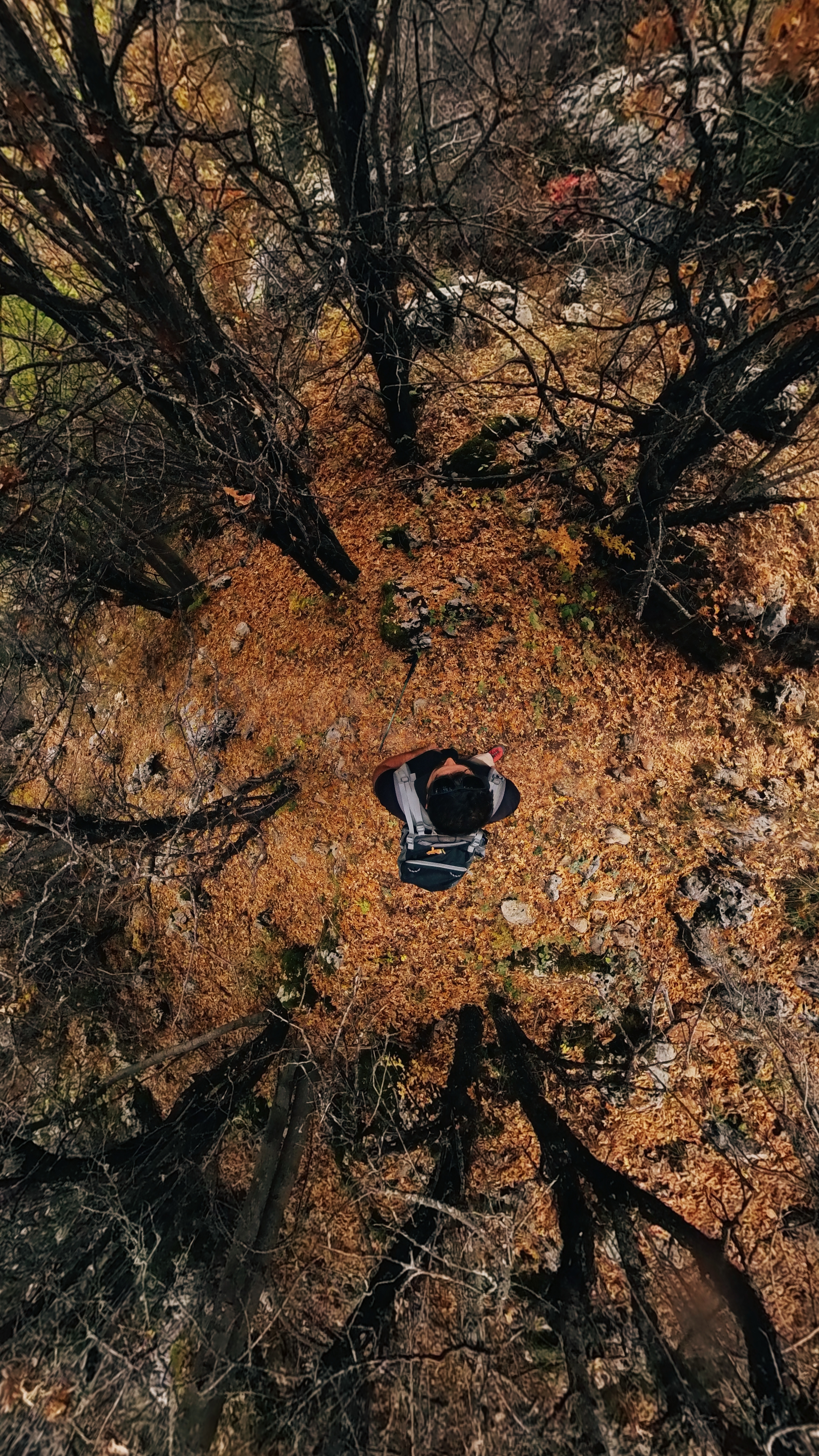 Hiking in Lebanon During Autumn: The Season of Changing Trails